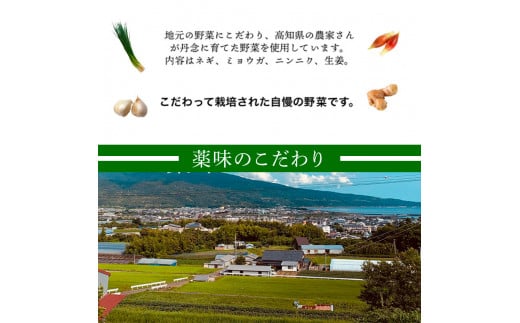 ～四国一小さなまち～ ★先行受付令和6年8月上旬発送開始★ 特選わら焼き戻り鰹のタタキ 約450g×1節 ニンニク1玉・たれ・薬味付き カツオ かつお 鰹のたたき 鰹タタキ 刺身 つまみ お取り寄せ