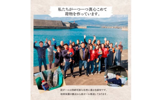 ～四国一小さなまち～ ★訳あり★ 高知県産カツオのわら焼きタタキ（自家製タレ付）1kg 4ヶ月定期便 1節約300g かつお 鰹 鰹のたたき 藁焼き 刺身 さしみ 惣菜 おかず 海鮮 魚介類