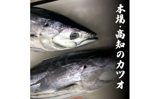 ～四国一小さなまち～ 訳ありタタキ 3kg 3キロ 6ヶ月定期便 カツオ かつお 鰹 鰹のたたき たれ・おろし生姜・柚塩付き 刺身 さしみ 惣菜 おかず 海鮮 魚介類 お取り寄せ ご自宅用 ご家庭用