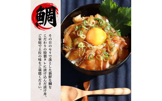 ～四国一小さなまち～ 訳あり 鯛の漬け丼＆マグロのネギトロ 各10P 計20P タイ たい まぐろ 鮪 海鮮丼 ねぎとろ まぐろたたき 粗挽き ねぎとろ丼 ネギトロ丼 魚介 惣菜 おかず 訳アリ