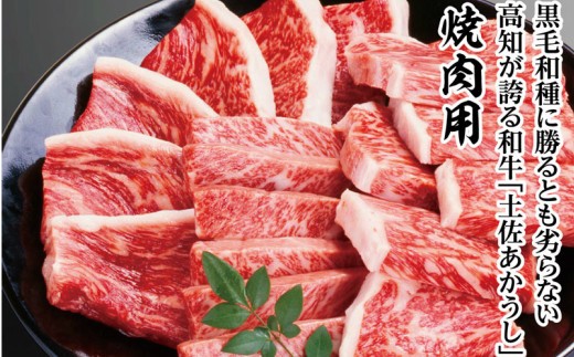 「土佐あかうし」焼肉用1kgと特製万能タレのセット