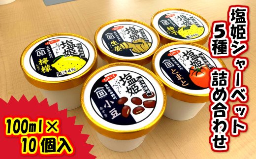 塩姫シャーベット ５種詰め合わせセット 100ml×10個 柚子 檸檬 トマト 生姜 小豆 ミネラル 田野屋塩二郎 天日塩 アイス あいす シャーベット 冷凍