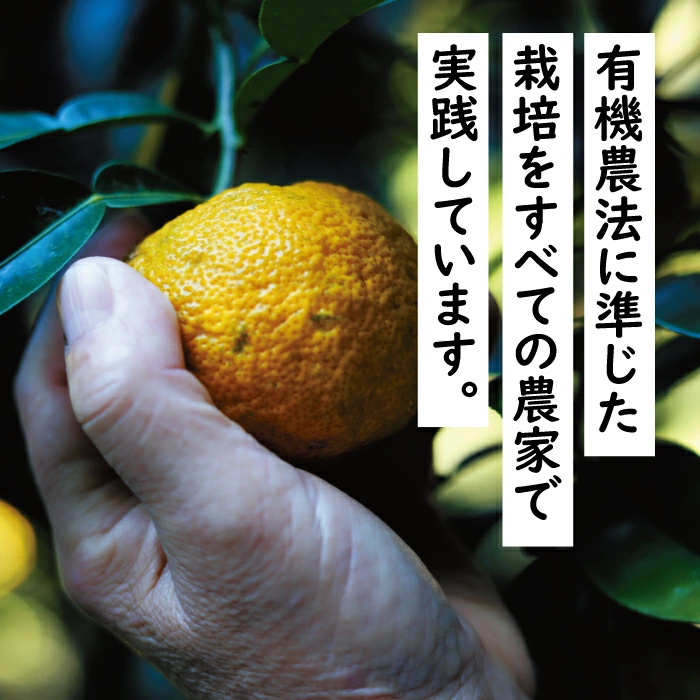 ゆずポン酢 ５種 食べ比べセット（360ｍｌ×各1本）【年内発送】お歳暮 ギフト ぽん酢 柚子 ポン酢 柚子ポン酢 ゆず ゆずぽん酢 調味料 有機 オーガニック 無添加 産地直送  ドレッシング 鍋 水炊き 贈答用 お中元 のし 熨斗 高知県 馬路村  [527]