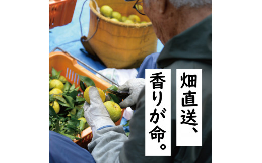 ゆずの村酒造甘口/500ml×2本 柚子酒 リキュール 果実酒  柚子 ゆず はちみつ 有機 宅飲み 家飲み ギフト 贈答用 お中元 お歳暮  のし 高知県 馬路村【513】