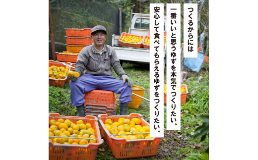 ゆずの村酒造甘口/500ml×2本 柚子酒 リキュール 果実酒  柚子 ゆず はちみつ 有機 宅飲み 家飲み ギフト 贈答用 お中元 お歳暮  のし 高知県 馬路村【513】