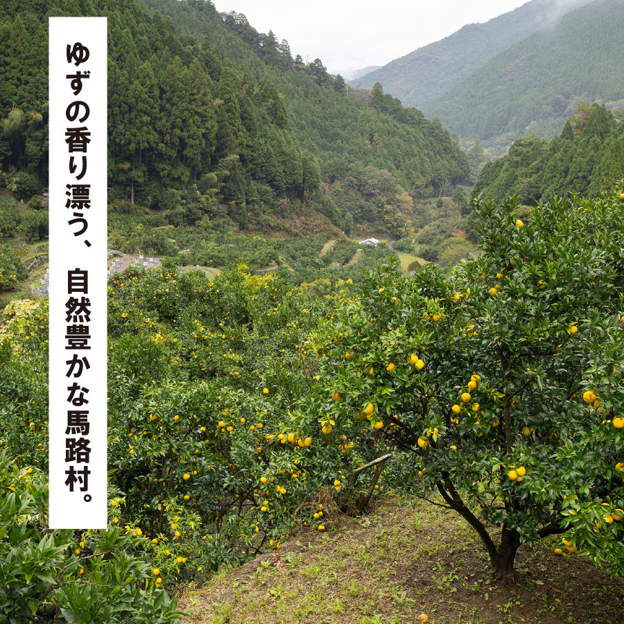 のーがえい ぽん酢 /360ml×3本 調味料  お歳暮 ギフト 年内配送 ゆず 柚子 ぽん酢  有機 オーガニック 産地直送 高知県 馬路村 【498】