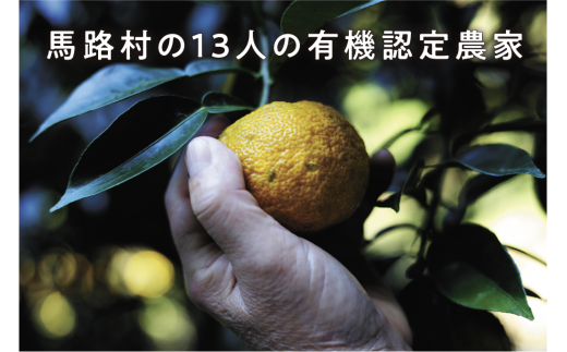 有機ゆずしぼり/1.8Ｌ（無塩） 柚子 果汁100%  搾り汁 ゆず酢 柚子酢 酢 有機 オーガニック 調味料 ギフト 贈答用 のし お中元 お歳暮 産地直送 高知県 馬路村[369]