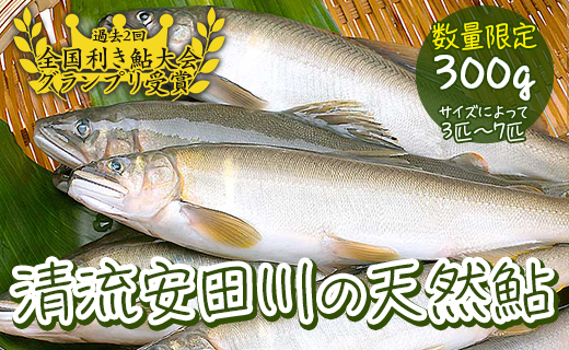 清流安田川の天然鮎（冷凍） 【 お歳暮 ギフト 年内配送 】 鮎 アユ 冷凍鮎  あゆ 川魚 魚介 お取り寄せグルメ 塩焼き 甘露煮 鮎めし お中元 お歳暮  【481】