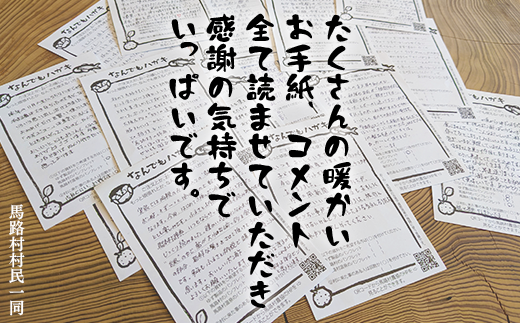 柚子ジュース 詰め合わせ バラエティセット/23本入×2箱 ゆず ジュース ドリンク フルーツジュース 清涼飲料水 飲料 はちみつ ギフト お中元 お歳暮  贈り物 有機 オーガニック 高知県 馬路村 [461]