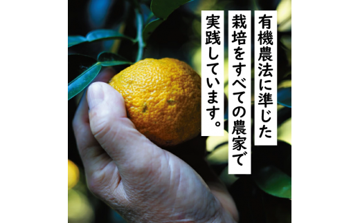 （定期便）馬路村ポン酢2本組（ゆずの村・1000人の村）×６回 調味料 ぽん酢 ゆず ポン酢 ユズ  鍋 柚子 お中元  ドレッシング 有機 オーガニック 無添加 水炊き 産地直送 高知県馬路村【689】