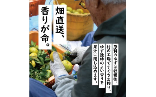 （定期便）馬路村ポン酢2本組（ゆずの村・1000人の村）×６回 調味料 ぽん酢 ゆず ポン酢 ユズ  鍋 柚子 お中元  ドレッシング 有機 オーガニック 無添加 水炊き 産地直送 高知県馬路村【689】