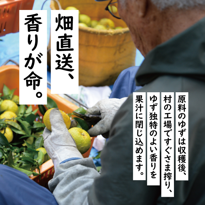 ゆずの村ドリンク/280ml×24本入×2箱 フルーツジュース ゆずジュース ドリンク 清涼飲料水 柚子 はちみつ 缶ボトル 無添加 ギフト のし お中元 お歳暮 高知県 馬路村  【365】