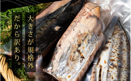 《6ヵ月定期便》「訳あり カツオのたたき 3.0kg」故郷納税【順次発送中】規格外 サイズ不揃い 傷 わけあり 人気 ランキング 本場 高知 土佐 かつおのたたき 返礼品 カツオのタタキ かつおのタタキ 訳アリ 訳 海鮮 【koyofr】