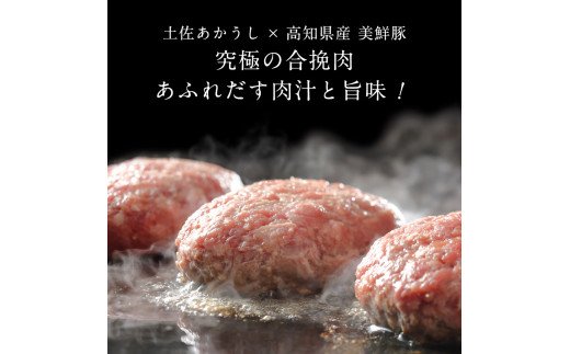 人気惣菜 数量限定 牛肉 豚肉 創業50年老舗レストランの幻の和牛あかうしハンバーグ130g×16コ＋特製デミソース×4袋、特製トマトソース×4袋 焼くだけ 溢れる肉汁 土佐あか牛 ハンバーグ 小分け 緊急支援品