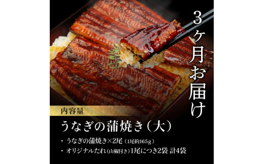 《3ヵ月定期便》人気惣菜 本気の高知ブランド鰻「西岡うなぎ」～上（大サイズ）～うなぎの蒲焼き2尾セット（約330g）タレ・山椒付き｜ウナギ 国産 特産品 鰻の蒲焼き 高知県産 土佐 グルメ 蒲焼 焼きたて 丼 うな重 ひつまぶし〈田野町共通返礼品〉