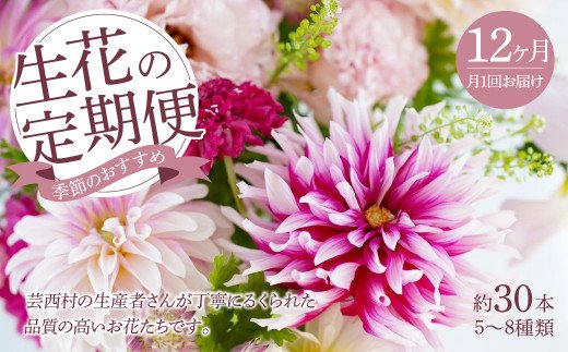 12ヵ月定期便 毎月お届け 芸西村産季節の花束 フラワーアレンジメント ブルースター トルコキキョウ ダリヤ 生産者直送 ふるさとパレット 東急グループのふるさと納税