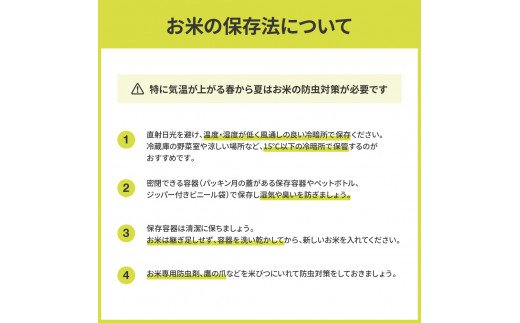 先行予約 新米 コシヒカリ 15kg (5kg×3袋) 芸西米 げいせいまい 令和6年産 15キロ 米 こめ コメ こしひかり 精米 白米 お米 おこめ ご飯 国産 通販 お取り寄せ 送料無料