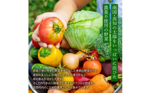 野菜セット（7‐9種類） 《3カ月定期便》 栽培期間中農薬不使用！ 季節の野菜 定期コース 定期 無農薬 野菜 やさい 新鮮 自然 健康 セット 詰め合わせ 冷蔵 美味しい おいしい 食べ物 食材 秋 旬の味覚 ご当地 お取り寄せ 芸西村 18000円 故郷納税 返礼品