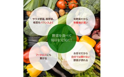 野菜セット（7‐9種類） 《3カ月定期便》 栽培期間中農薬不使用！ 季節の野菜 定期コース 定期 無農薬 野菜 やさい 新鮮 自然 健康 セット 詰め合わせ 冷蔵 美味しい おいしい 食べ物 食材 秋 旬の味覚 ご当地 お取り寄せ 芸西村 18000円 故郷納税 返礼品