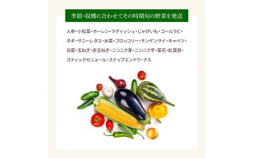 野菜セット（7‐9種類） 《3カ月定期便》 栽培期間中農薬不使用！ 季節の野菜 定期コース 定期 無農薬 野菜 やさい 新鮮 自然 健康 セット 詰め合わせ 冷蔵 美味しい おいしい 食べ物 食材 秋 旬の味覚 ご当地 お取り寄せ 芸西村 18000円 故郷納税 返礼品