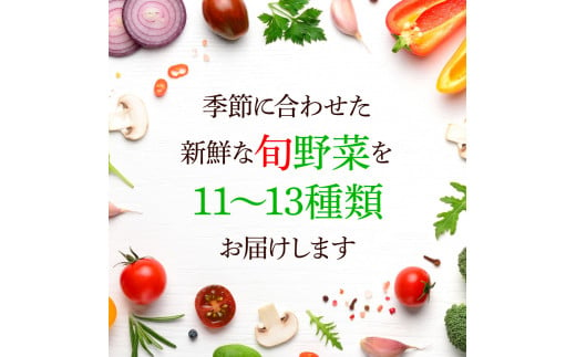 野菜セット（11‐13種類）栽培期間中農薬不使用！ 季節の野菜 旬 無農薬 野菜 やさい 新鮮 自然 健康 セット 詰め合わせ 冷蔵 美味しい おいしい 食べ物 食材 秋 旬の味覚 ご当地 お取り寄せ 芸西村 12000円 故郷納税 ふるさとのうぜい 返礼品 高知県産 高知