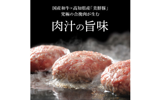 食べ比べ！老舗レストランの国産牛・美鮮豚ハンバーグ130g×12ケ＋ソース3種各2袋 ハンバーグ セット 25000円 トマトソース デミグラス 牛肉 豚肉 和牛 美味しい おいしい 小分けパック 個包装 冷凍 故郷納税 返礼品 高知 贈り物 ギフト 熨斗