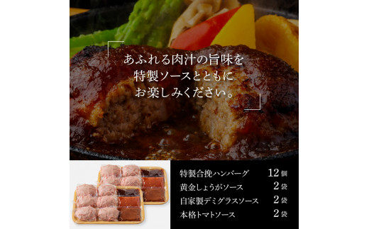 食べ比べ！老舗レストランの国産牛・美鮮豚ハンバーグ130g×12ケ＋ソース3種各2袋 ハンバーグ セット 25000円 トマトソース デミグラス 牛肉 豚肉 和牛 美味しい おいしい 小分けパック 個包装 冷凍 故郷納税 返礼品 高知 贈り物 ギフト 熨斗