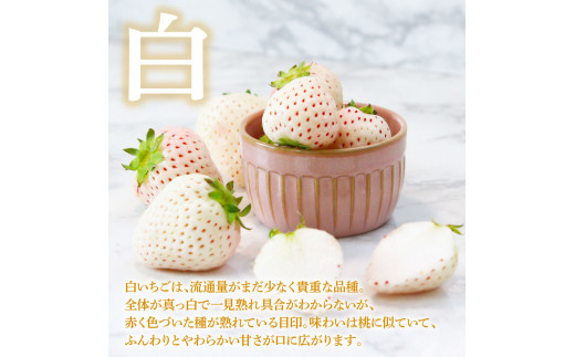 Berry農園 天使のいちご（白いちご）