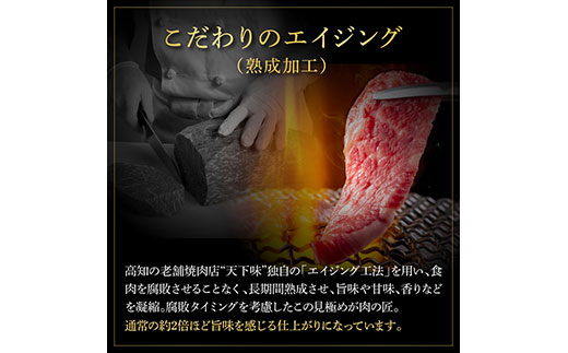 天下味 エイジング工法 熟成肉 土佐和牛 特選ヒレ 牛 サイコロステーキ 500g×4 合計2kg エイジングビーフ ヒレ フィレ 国産 肉 牛肉 和牛 人気老舗焼肉店 冷凍 新鮮 真空パック 高級 高知 高知県 芸西村 故郷納税 278000円 返礼品 贈り物 贈答 ギフト