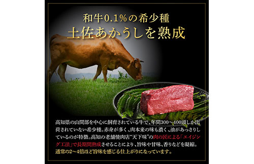 天下味 エイジング工法 熟成肉 土佐あかうし 特選サーロインステーキ 200g×4枚 エイジングビーフ サーロイン 国産 あか牛 赤牛 肉 牛肉 和牛 人気老舗焼肉店 冷凍 新鮮 真空パック ステーキ 高級 高知 高知県 芸西村 故郷納税 85000円 返礼品 贈答品 ギフト