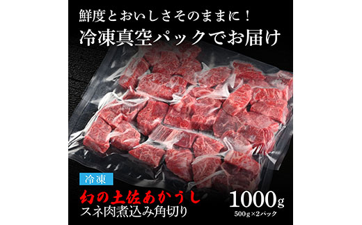 天下味 エイジング工法 熟成肉 土佐あかうし 特選スネ肉 煮込み角切り 500g×2 合計1kg エイジングビーフ スネ肉 国産 あか牛 赤牛 肉 牛肉 和牛 人気 老舗焼肉店 冷凍 新鮮 真空パック 高級 高知 高知県 芸西村 故郷納税 21000円 返礼品 贈答品 ギフト