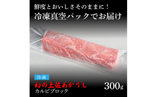 天下味 エイジング工法 熟成肉 土佐あかうし 特選カルビブロック 300g エイジングビーフ カルビ 牛 ブロック 国産 あか牛 赤牛 肉 牛肉 和牛 人気 老舗焼肉店 冷凍 新鮮 真空パック 高級 お祝い 高知 高知県 芸西村 故郷納税 21000円 返礼品 贈答品 ギフト