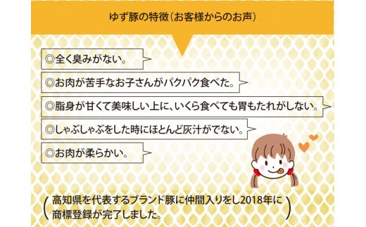 【高知のブランド豚/ゆず豚】脂身が甘いジューシーとんかつ4枚入り＆ソーセージ2P（約1kg）- トンカツ 豚 カツ ソーセージ セット 詰め合わせ 豚肉 肉 国産 ロースとんかつ ギフト・熨斗対応可 贈答