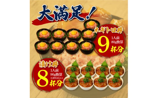 ネギトロ80g×9P＋漬け鮪丼90g×8P 冷凍配送 簡易包装 小分け 惣菜 人気 海鮮 ネギトロ丼 まぐろたたき 海鮮丼 便利 かんたん 自然解凍 個食 一人暮らし どんぶり 漬け丼 お手軽