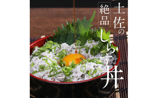 〈6ヶ月定期便〉訳あり 釜揚げシラス 800g×2個 定期便 定期コース 6ヶ月 しらす シラス 釜揚げ 新鮮 塩分控えめ 離乳食 わけあり ワケあり 不揃い しらす丼 海鮮丼 お茶漬け