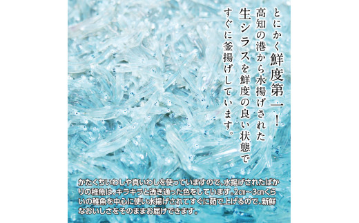 〈6ヶ月定期便〉訳あり 釜揚げシラス 800g×2個 定期便 定期コース 6ヶ月 しらす シラス 釜揚げ 新鮮 塩分控えめ 離乳食 わけあり ワケあり 不揃い しらす丼 海鮮丼 お茶漬け