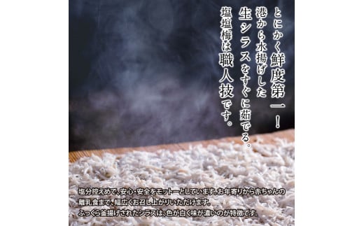 〈12ヶ月定期便〉訳あり 釜揚げシラス 100g×6個 定期便 定期コース 12ヶ月 しらす シラス 釜揚げ 新鮮 塩分控えめ 離乳食 わけあり ワケあり 不揃い しらす丼 海鮮丼 お茶漬け