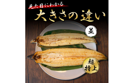 高知ブランド鰻「西岡うなぎ」《超特上》うなぎの白焼き2尾セット（約440g） オリジナルタレ・山椒付き 国産 ウナギ 鰻 冷凍配送 高知県産 うな重 丼 特大 自宅用 家庭用