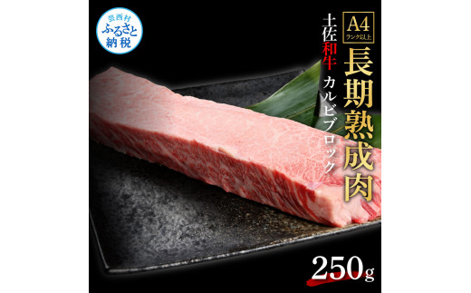 天下味 エイジング工法 熟成肉 土佐和牛 特選 カルビブロック 250g エイジングビーフ 国産 牛肉 土佐 和牛 冷凍配送 真空パック お祝い 高知 芸西村 贈り物 贈答 ギフト