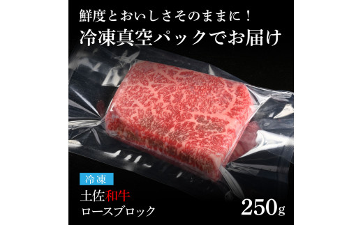 天下味 エイジング工法 熟成肉 土佐和牛 特選 ロースブロック 250g エイジングビーフ 国産 牛肉 土佐 和牛 冷凍配送 真空パック お祝い 高知 芸西村 贈り物 贈答 ギフト