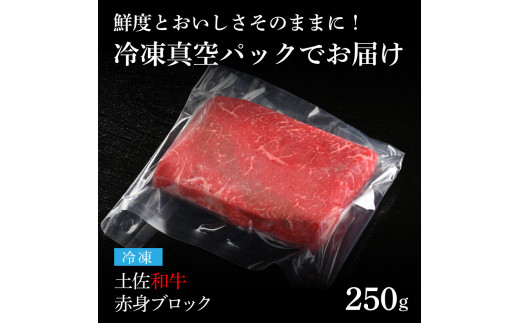 天下味 エイジング工法 熟成肉 土佐和牛 特選 赤身ブロック 250g エイジングビーフ 国産 牛肉 土佐 和牛 冷凍配送 真空パック お祝い 高知 芸西村 贈り物 贈答 ギフト