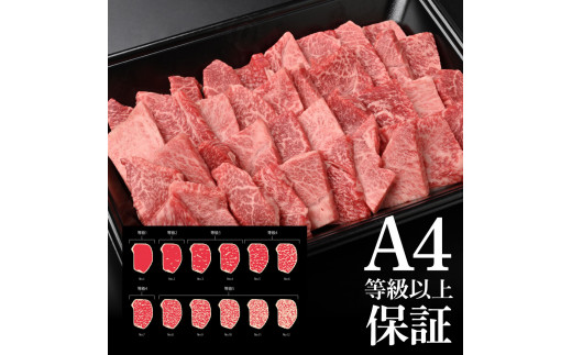 土佐和牛上カルビ焼肉450g 牛肉 肉 お肉 和牛 国産 牛 上カルビ かるび バラ肉 A4等級以上 霜降り 国産 豪華 贅沢 美味しい おいしい 柔らかい 肉汁 やきにく