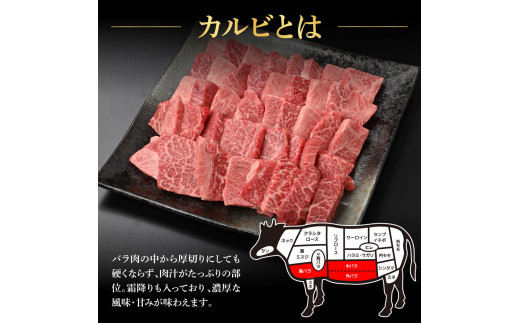 土佐和牛上カルビ焼肉450g 牛肉 肉 お肉 和牛 国産 牛 上カルビ かるび バラ肉 A4等級以上 霜降り 国産 豪華 贅沢 美味しい おいしい 柔らかい 肉汁 やきにく