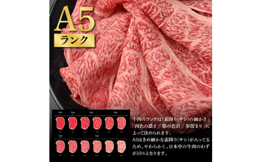 土佐和牛最高級A5特選クラシタロース＆バラセット900g 各450gずつ 牛肉 肉 お肉 和牛 国産 牛 クラシタロース バラ A5 最高級 特選 国産 豪華 贅沢 美味しい 柔らかい 肉汁