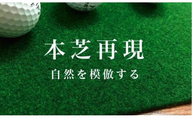 ゴルフ練習パターマット 高速30cm×3m TOURNAMENT-SB（トーナメントSB）と練習用具（距離感マスターカップ、まっすぐぱっと、トレーニングリング付き）【TOSACC2019】〈高知市共通返礼品〉