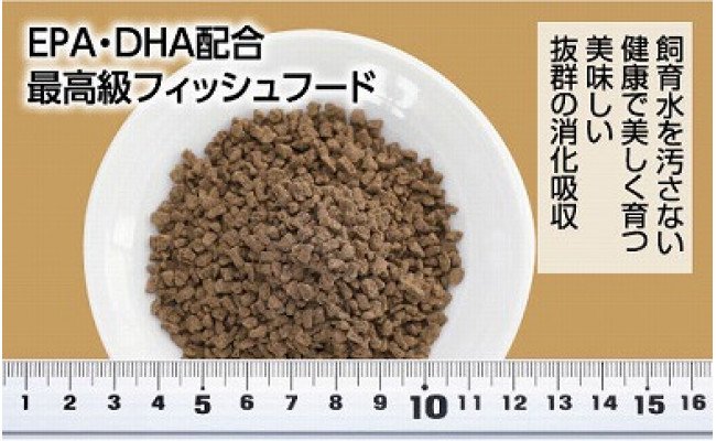 GROW E クランブル 160g 中型熱帯魚用 ＜最高級 フィッシュフード EPA・DHA配合 沈降性 クランブルタイプ 魚 餌＞ プレコ 中型魚【餌 えさ エサ】【観賞魚 餌やり】【水槽/熱帯魚/観賞魚/飼育】【生体】【アクアリウム/あくありうむ】