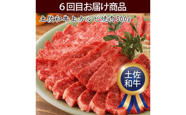 定期便 肉 お楽しみ 牛肉 豚肉 南国土佐のスーパーバリュー6ヶ月コース＜高知市共通返礼品＞ - ふるさとパレット ～東急グループのふるさと納税～