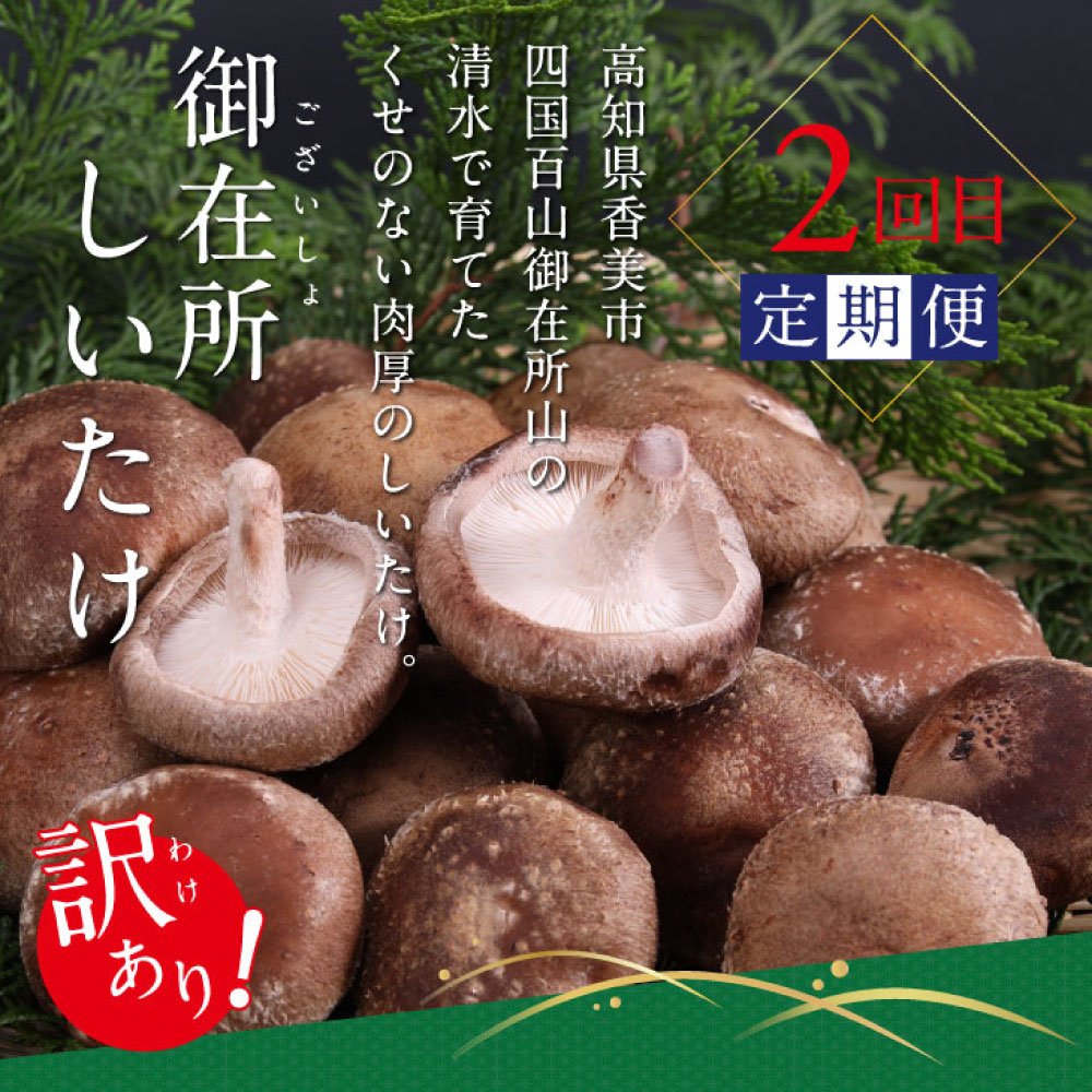 土佐味堪能香美市コラボ4ヶ月定期便 かつおのタタキ×1.5kg 御在所しいたけ 牛バラスライス×450g マグロの漬け丼の素 80g×5Pセット 鰹 カツオ 刺身 訳あり 椎茸 牛肉 鮪 まぐろ