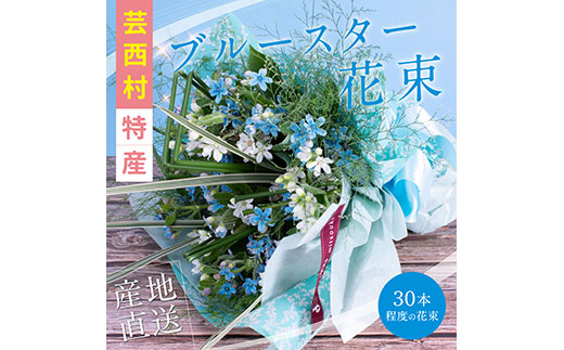 《先行予約》芸西村特産ブルースター花束（約30本程度の花束）