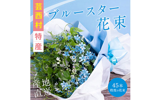 《先行予約》芸西村特産ブルースター花束（約45本程度の花束）